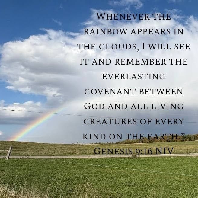 Hope & Assurance