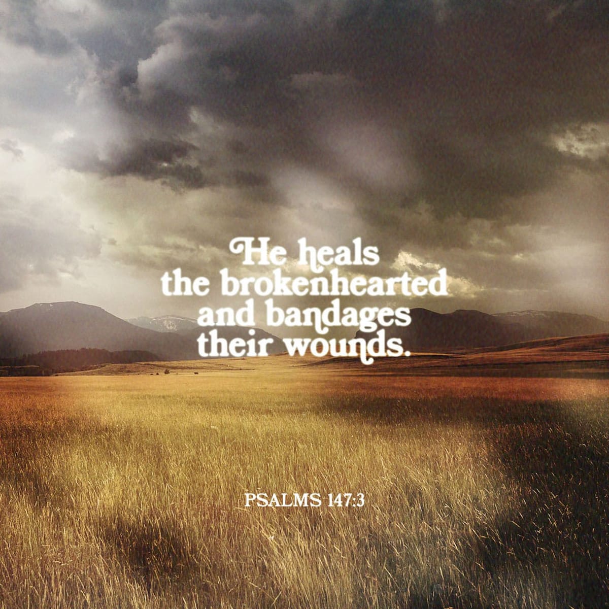 Broken to be Fixed