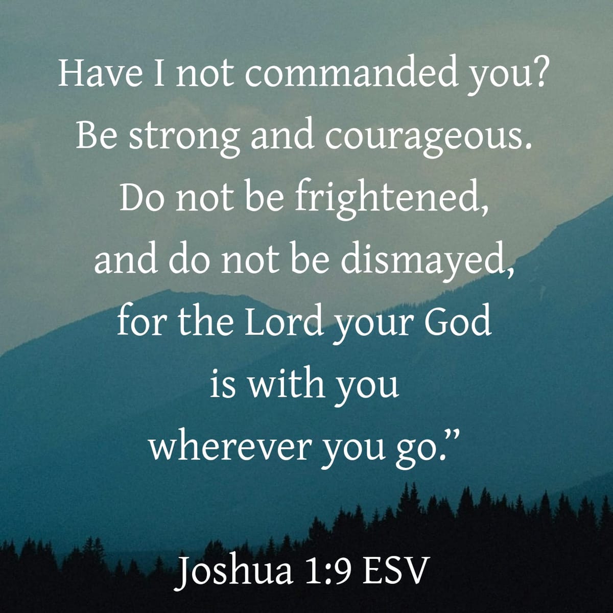A New Courage